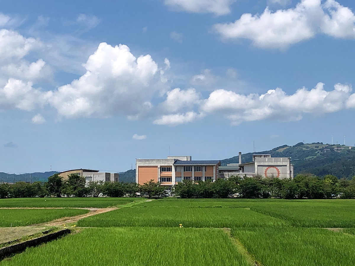 青々と広がる田園